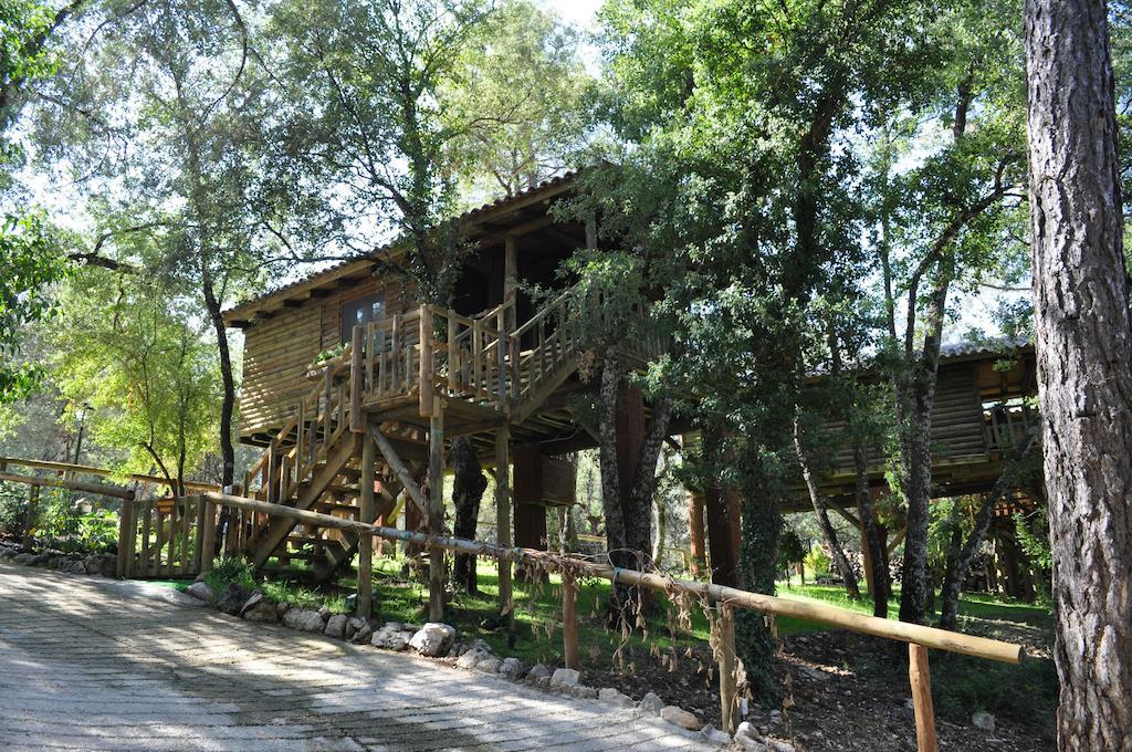 Los Nidos De Santa Maria Arroyo Frio Exterior photo